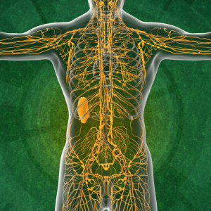 sport garantie de santé: immunité