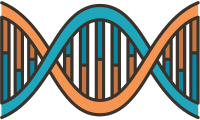 ADN