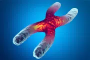 Chromosome