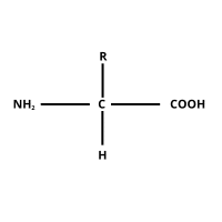 Acide Aminé