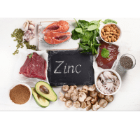 le zinc et les aliments qui en contiennent