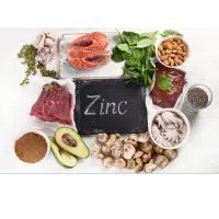 le zinc et les aliments qui en contiennent