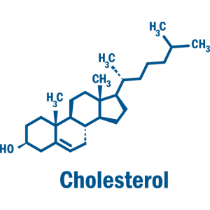 Molécule de cholestérol