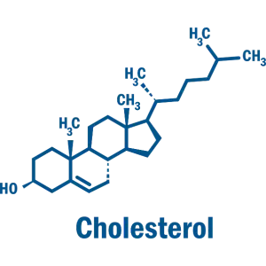 Molécule de cholestérol