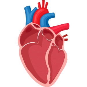 Coeur