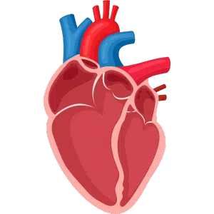 Coeur