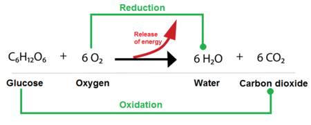 Réaction oxydo-réduction