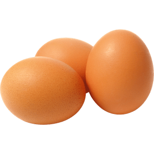 Oeuf