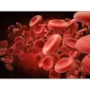 Plasma